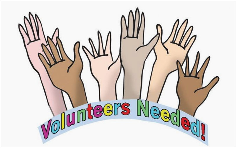 Volunteer